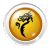 Логотип Dragon Options