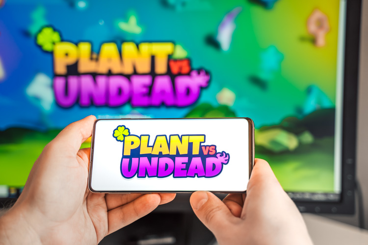 Игра Plant vs Undead открыта на смартфоне и компьютере.