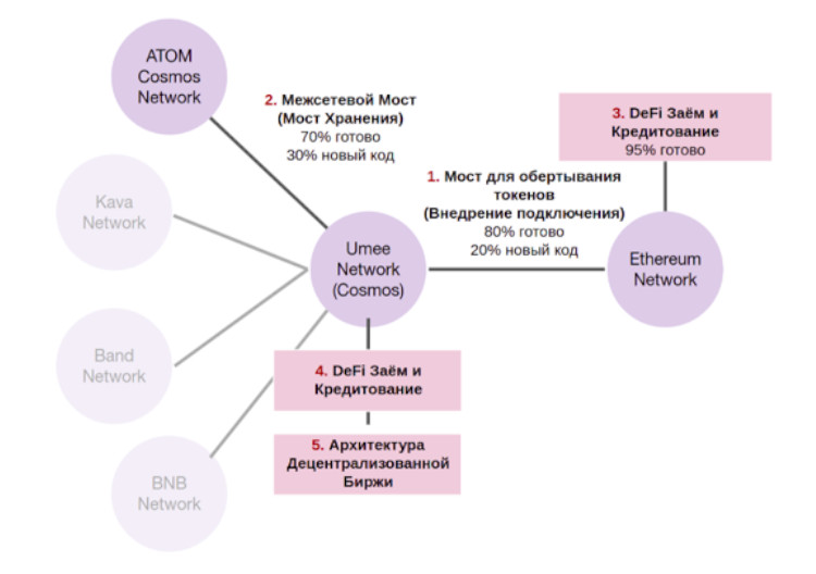 Структура сети UMEE в виде блоксхемы.