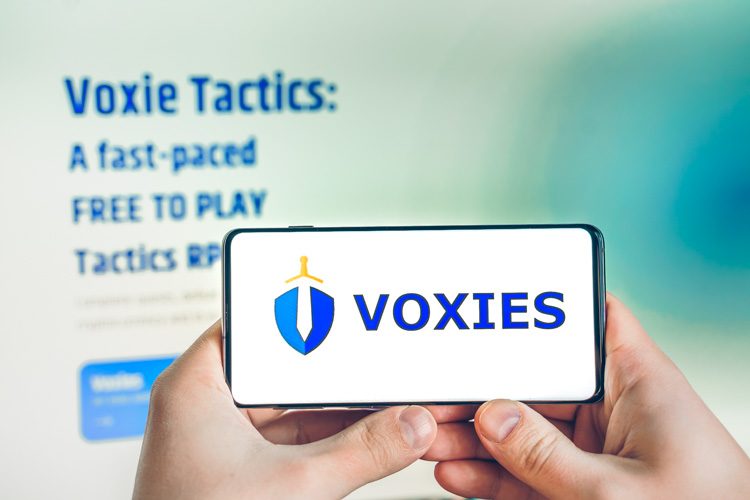Игра Voxies открыта на экране.
